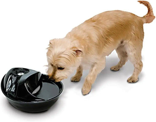 White Ceramic Pet Water Fountain with Raindrop Design, 60 oz Capacity for Fresh Circulating Drinking Water