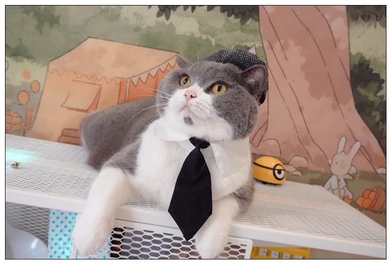 Pet Clothes Funny Handsome Gentleman's Beret Hat and Tie