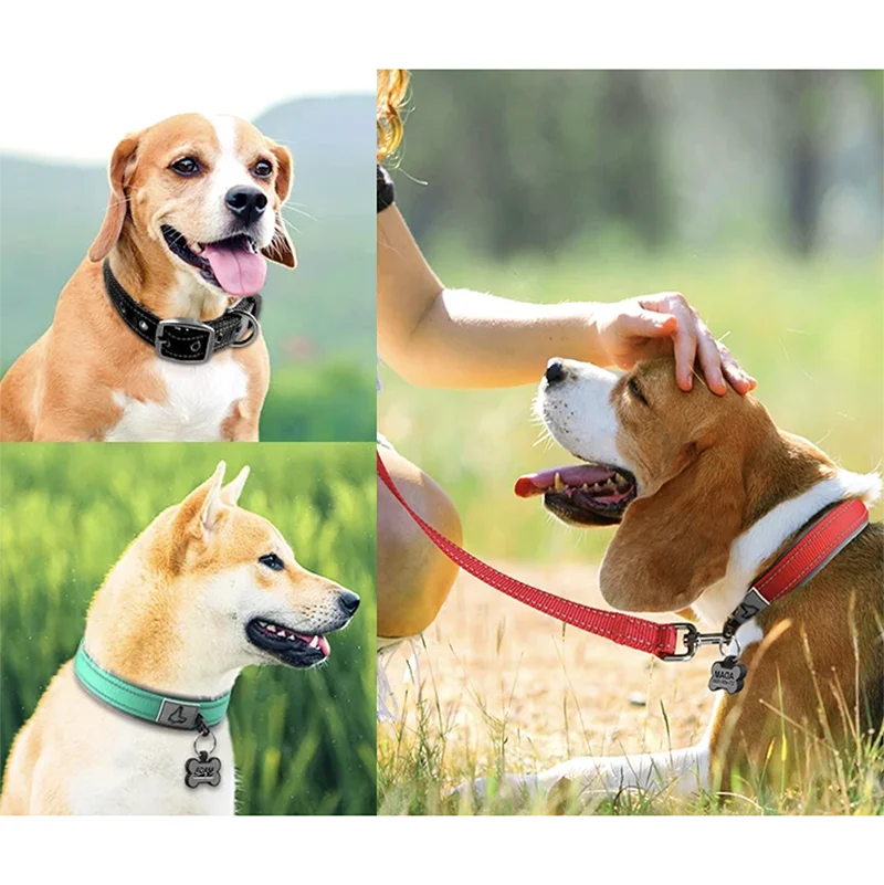 Padded Adjustable Reflective Wide Heavy Duty Nylon Neoprene Collars for small medium large Dogs  
D-Ring and Tag Loop - can be used to attach a leash and is tough enough to provide peace of mind no matter how hard your dog li