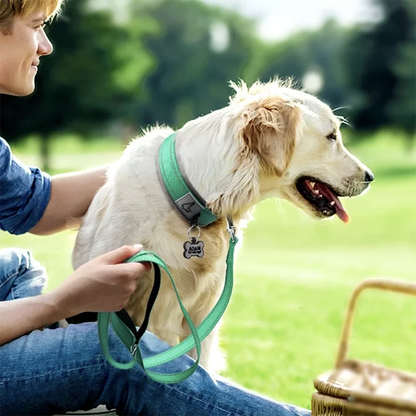 Padded Adjustable Reflective Wide Heavy Duty Nylon Neoprene Collars for small medium large Dogs  
D-Ring and Tag Loop - can be used to attach a leash and is tough enough to provide peace of mind no matter how hard your dog li
