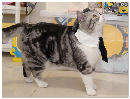 Pet Clothes Funny Handsome Gentleman's Beret Hat and Tie