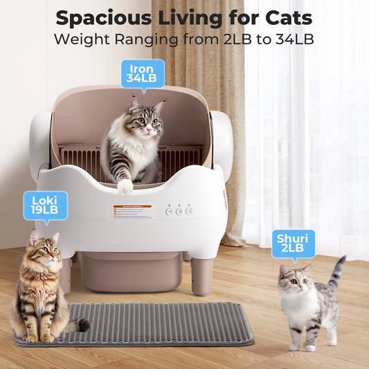 Self Cleaning Automatic Cat Litter Box with APP Control, Odor-Free  Large Waste Bin, Open-Top for Multi Cats