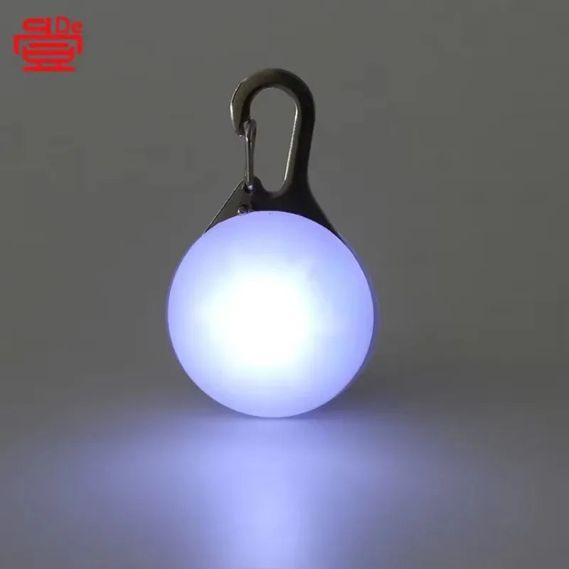 Luminous LED Anti-lost Pet Tag/Pendant, USB Rechargeable