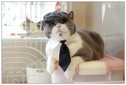 Pet Clothes Funny Handsome Gentleman's Beret Hat and Tie