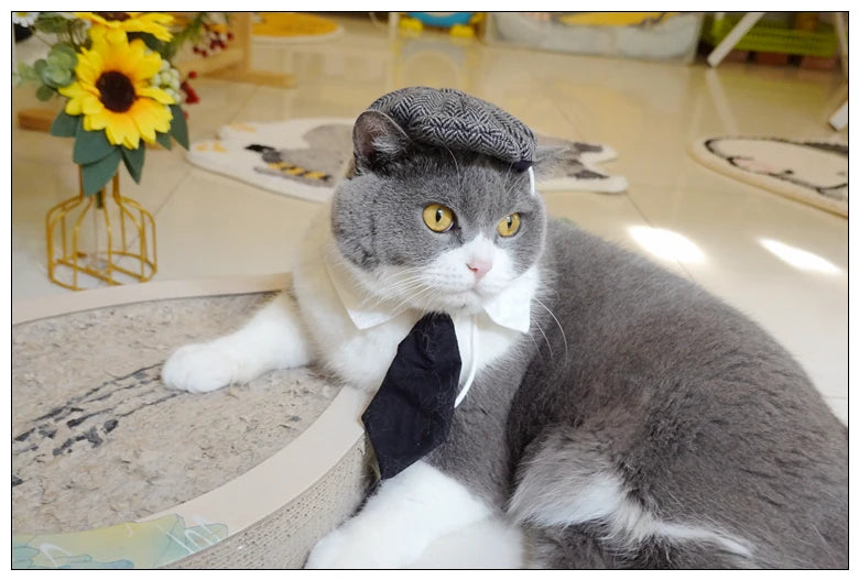 Pet Clothes Funny Handsome Gentleman's Beret Hat and Tie