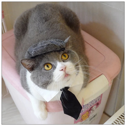 Pet Clothes Funny Handsome Gentleman's Beret Hat and Tie