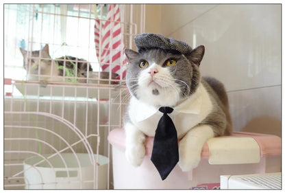 Pet Clothes Funny Handsome Gentleman's Beret Hat and Tie