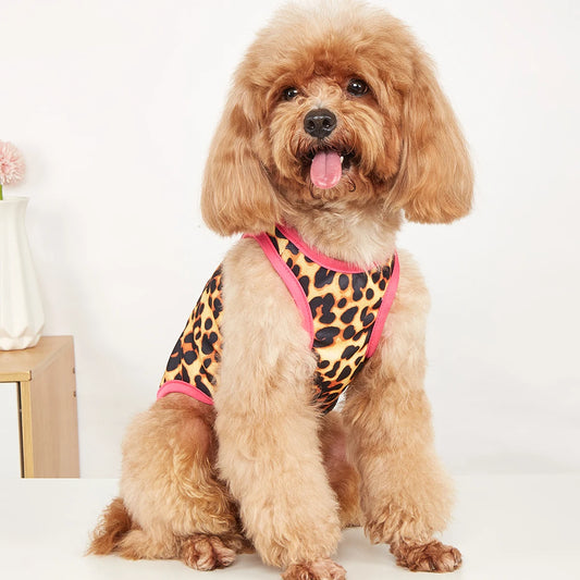 Pet vest Light, breathable, comfortable, simple, generous, fresh and cute, suitable for all seasons