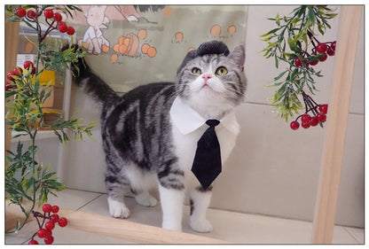 Pet Clothes Funny Handsome Gentleman's Beret Hat and Tie