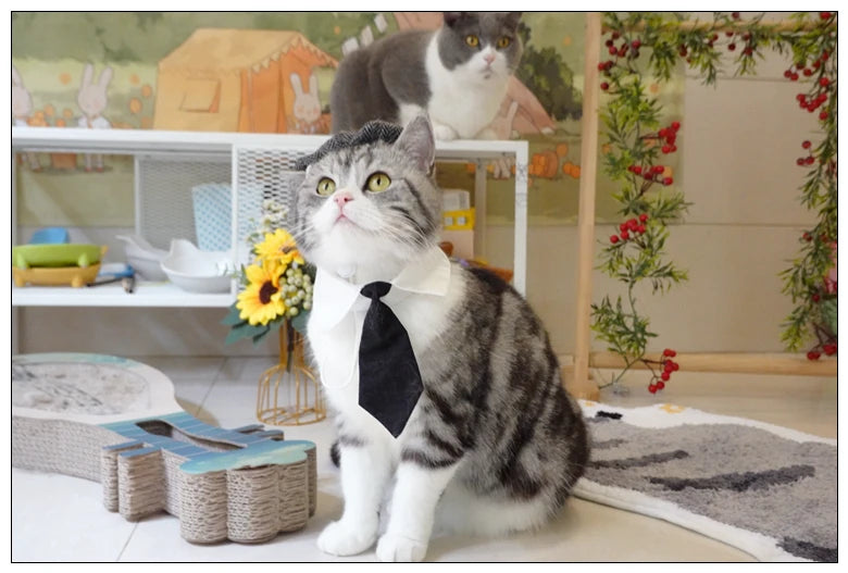 Pet Clothes Funny Handsome Gentleman's Beret Hat and Tie
