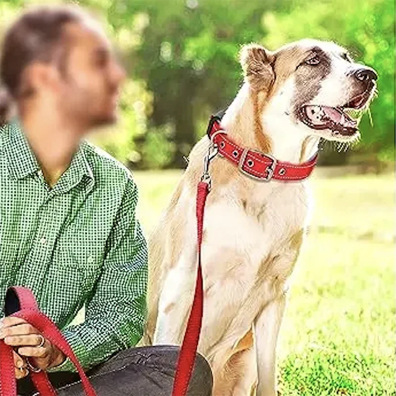 Padded Adjustable Reflective Wide Heavy Duty Nylon Neoprene Collars for small medium large Dogs  
D-Ring and Tag Loop - can be used to attach a leash and is tough enough to provide peace of mind no matter how hard your dog li
