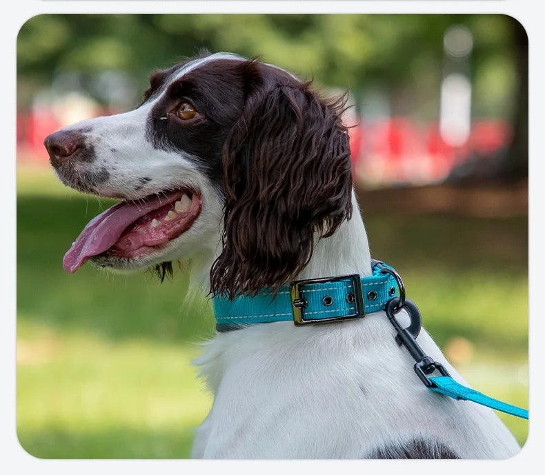Padded Adjustable Reflective Wide Heavy Duty Nylon Neoprene Collars for small medium large Dogs  
D-Ring and Tag Loop - can be used to attach a leash and is tough enough to provide peace of mind no matter how hard your dog li