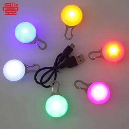 Luminous LED Anti-lost Pet Tag/Pendant, USB Rechargeable