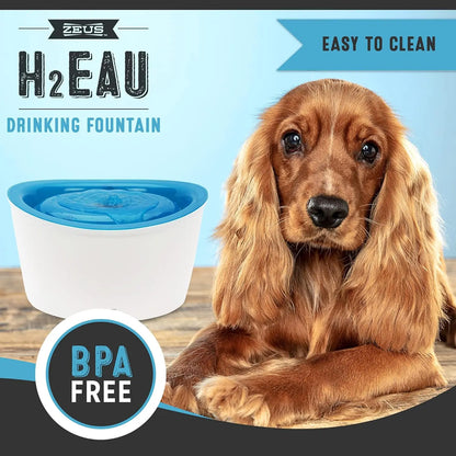 Fresh & Clear Elevated Pet Water Dispenser with Purifying Filter, 6L Large Capacity for Dogs and Cats