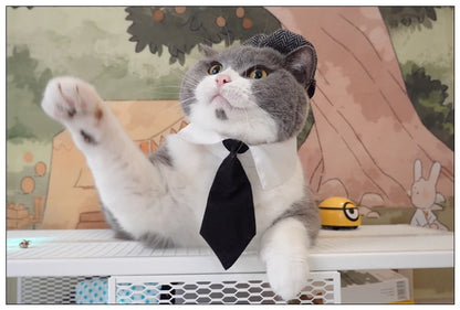 Pet Clothes Funny Handsome Gentleman's Beret Hat and Tie