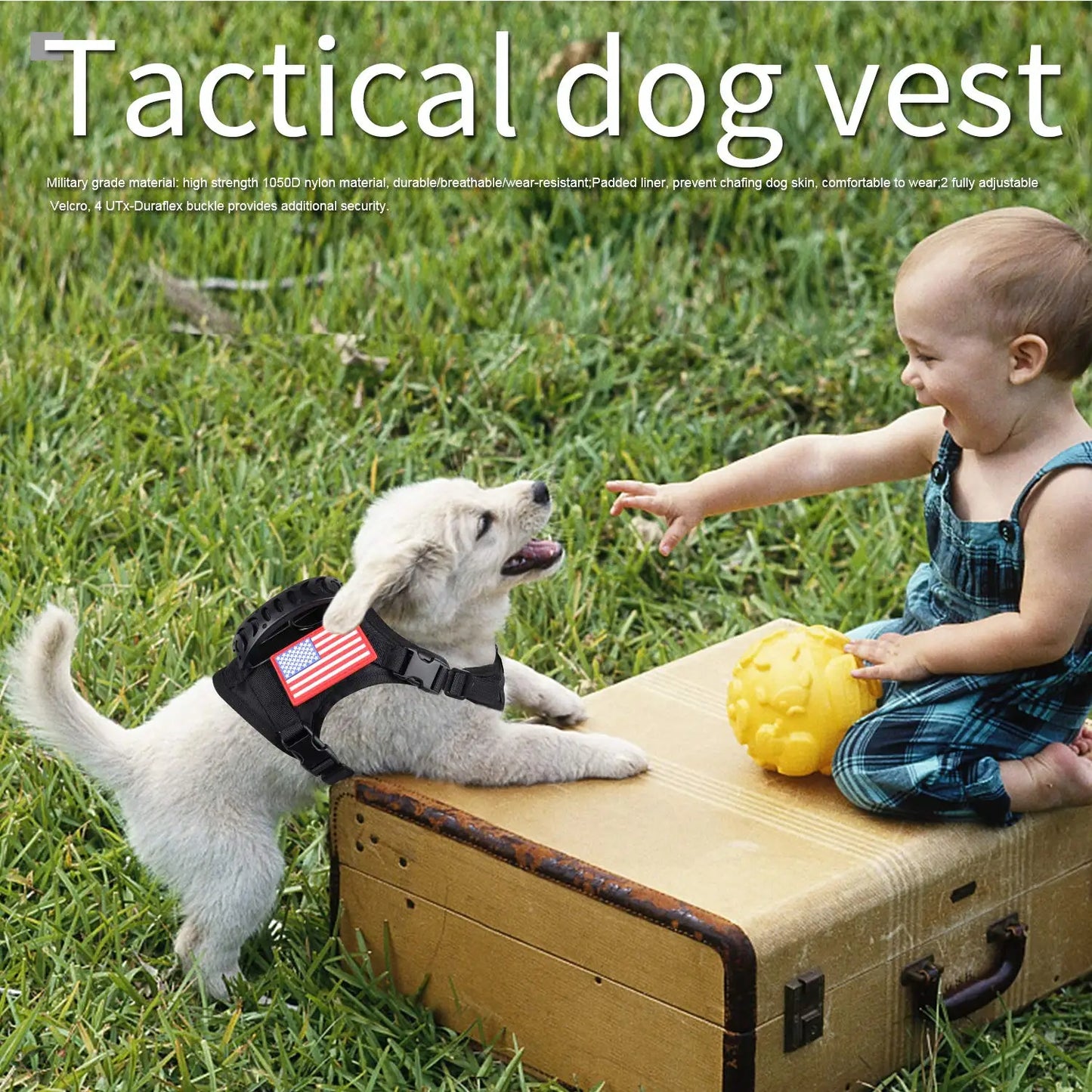 Small Pet Adjustable Military Tactical Harness Vest Leash Set for Walking and Training