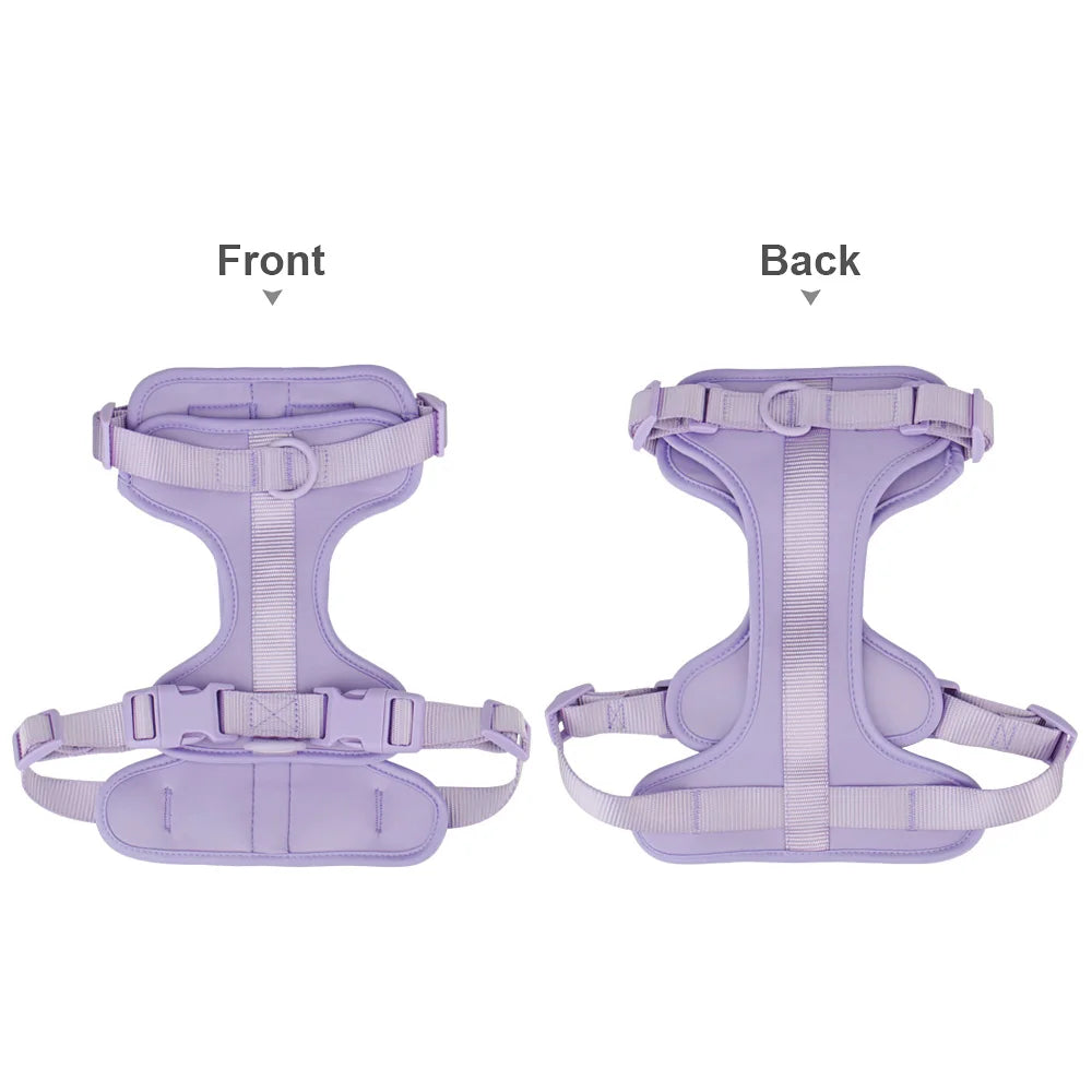 Breathable Lightweight Adjustable Harness with Chest Strap for Small Medium Dog