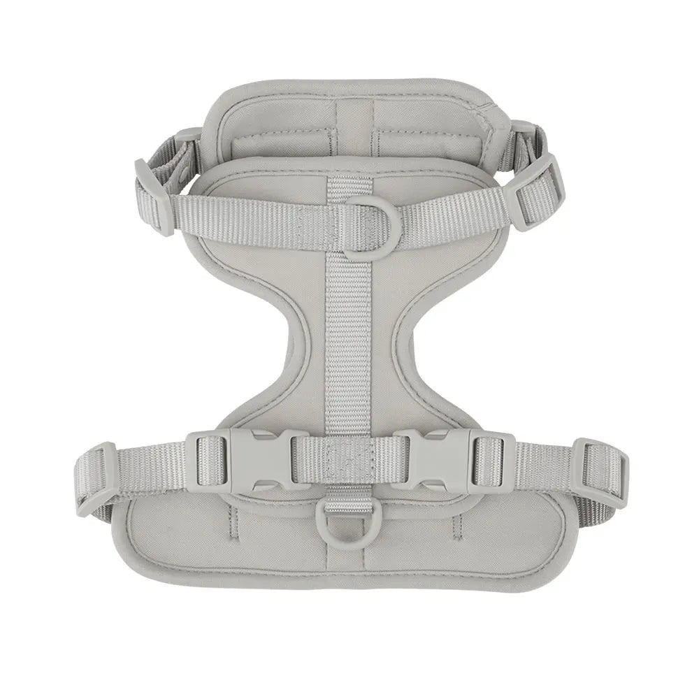 Breathable Lightweight Adjustable Harness with Chest Strap for Small Medium Dog