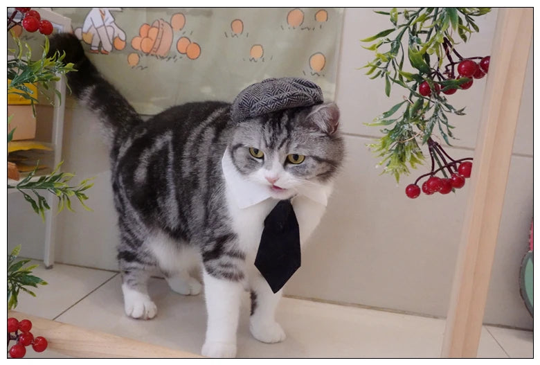 Pet Clothes Funny Handsome Gentleman's Beret Hat and Tie