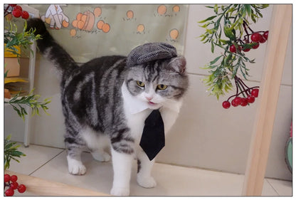 Pet Clothes Funny Handsome Gentleman's Beret Hat and Tie