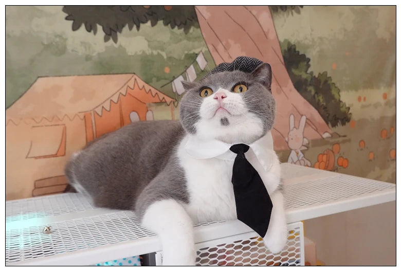 Pet Clothes Funny Handsome Gentleman's Beret Hat and Tie