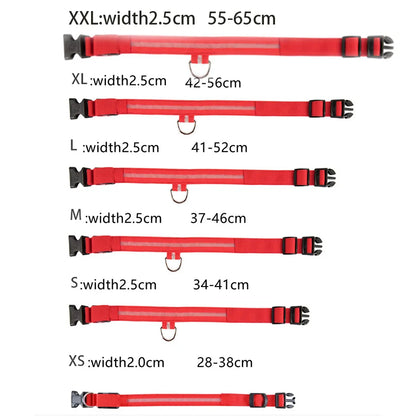 Luminous LED Illuminated collar lights up, flashes, and glows. Collar is comfortable, lightweight, skin-friendly, and stylish. The glowing, flashing, or luminous light makes your pet visible at night or in bad weather conditi