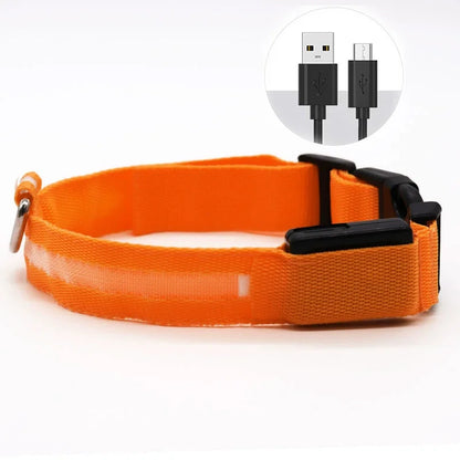 Luminous LED Illuminated collar lights up, flashes, and glows. Collar is comfortable, lightweight, skin-friendly, and stylish. The glowing, flashing, or luminous light makes your pet visible at night or in bad weather conditi