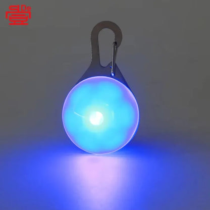 Luminous LED Anti-lost Pet Tag/Pendant, USB Rechargeable