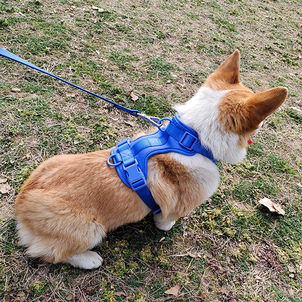 Breathable Lightweight Adjustable Harness with Chest Strap for Small Medium Dog