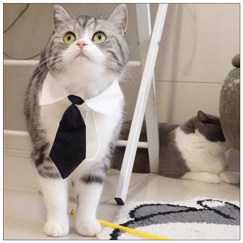 Pet Clothes Funny Handsome Gentleman's Beret Hat and Tie