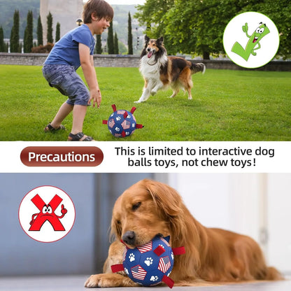 Premium Interactive Dog Soccer Ball with Straps Durable Ball for Playing Together With Pet