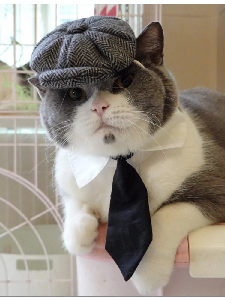 Pet Clothes Funny Handsome Gentleman's Beret Hat and Tie