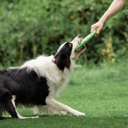 EVA Flying Chewing Flying Floating Disc Dog Toy