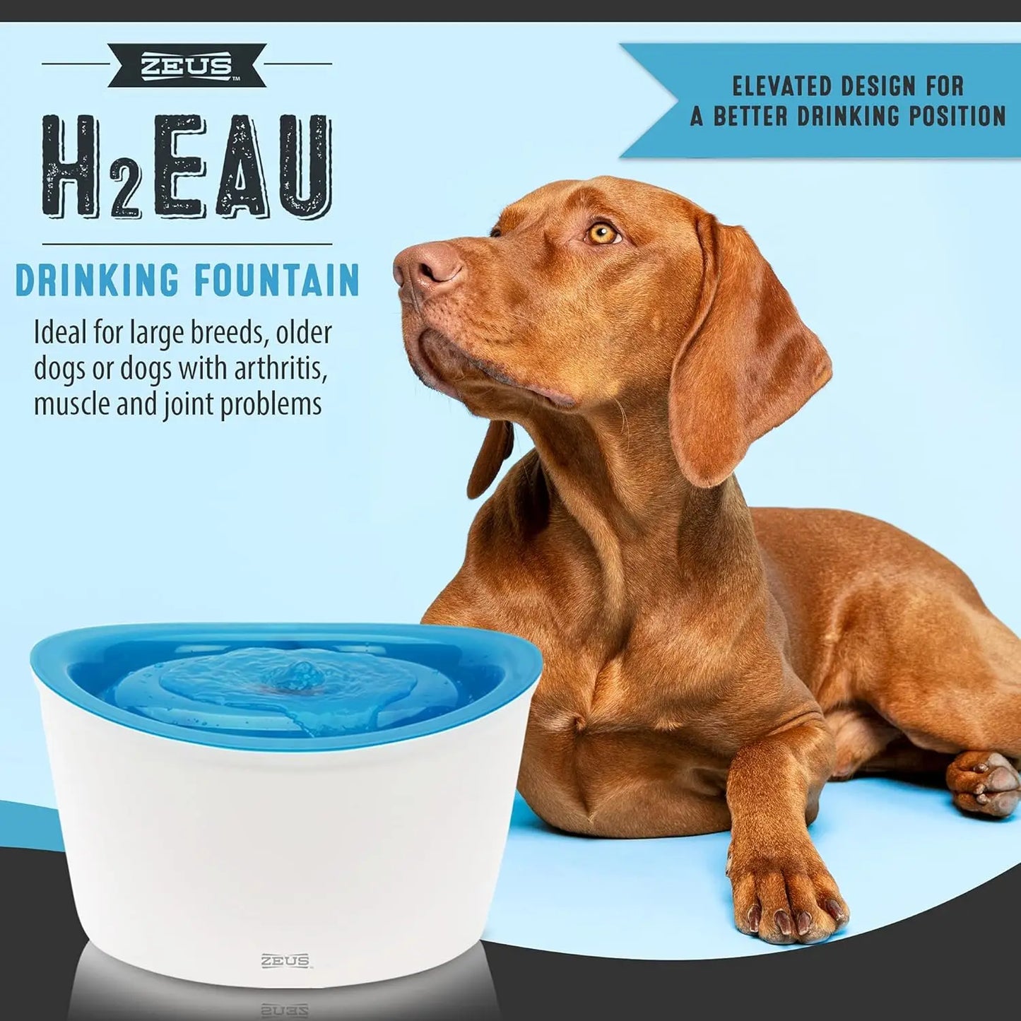 Fresh & Clear Elevated Pet Water Dispenser with Purifying Filter, 6L Large Capacity for Dogs and Cats