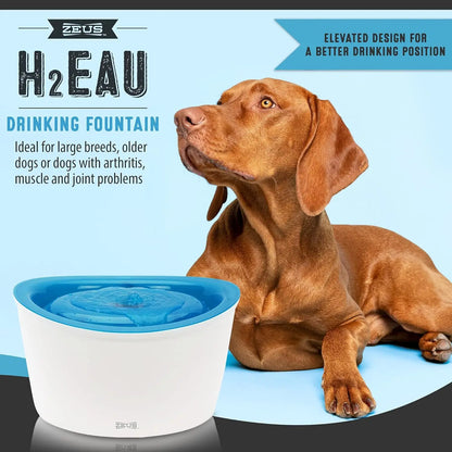 Fresh & Clear Elevated Pet Water Dispenser with Purifying Filter, 6L Large Capacity for Dogs and Cats