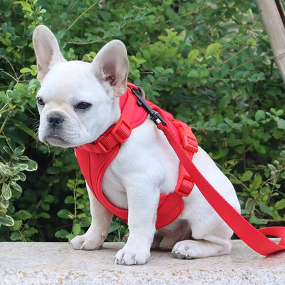 Breathable Lightweight Adjustable Harness with Chest Strap for Small Medium Dog