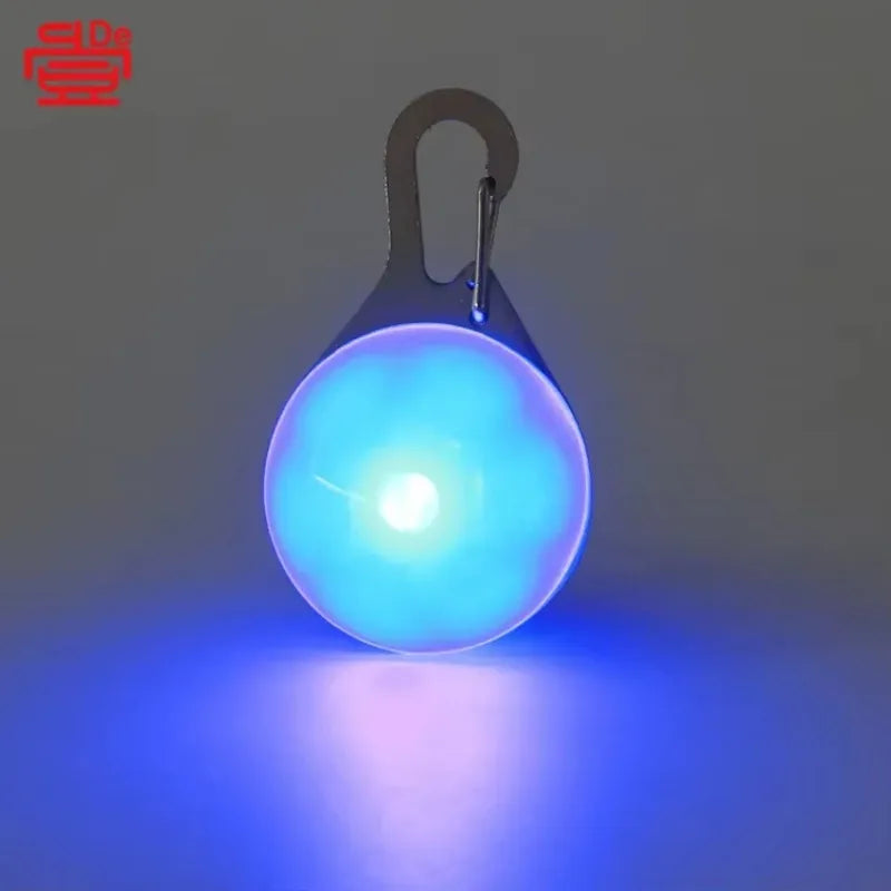 Luminous LED Anti-lost Pet Tag/Pendant, USB Rechargeable