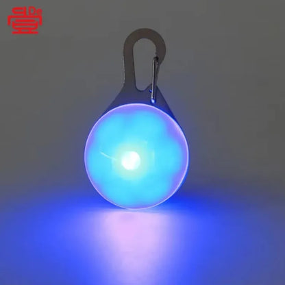 Luminous LED Anti-lost Pet Tag/Pendant, USB Rechargeable