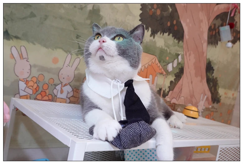 Pet Clothes Funny Handsome Gentleman's Beret Hat and Tie