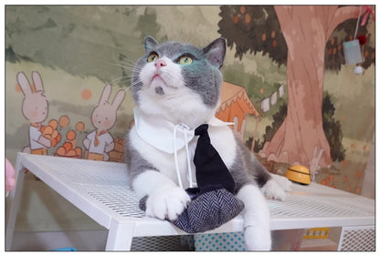 Pet Clothes Funny Handsome Gentleman's Beret Hat and Tie