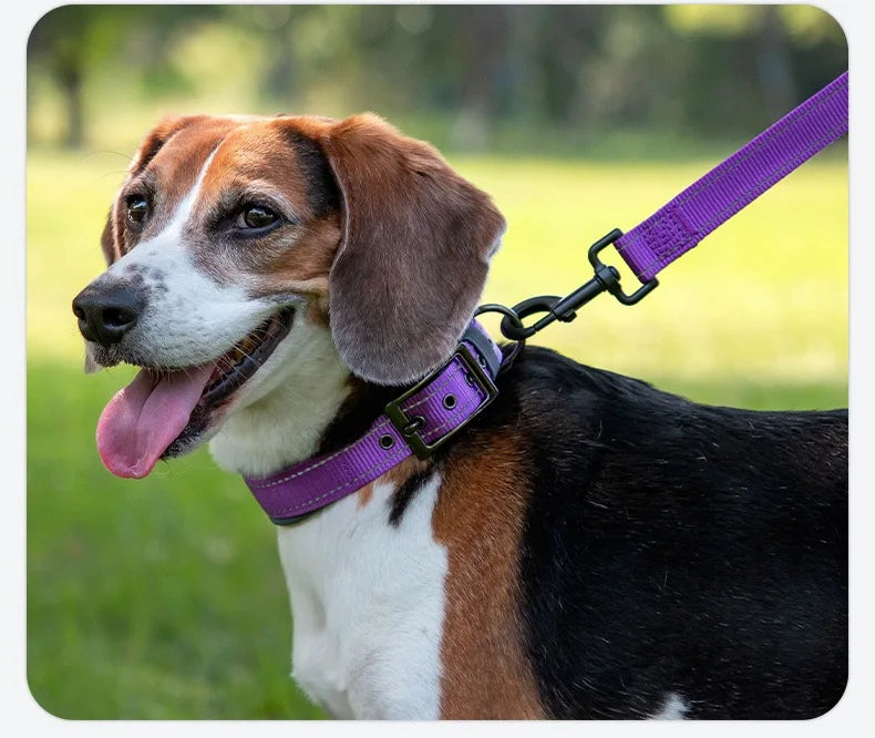 Padded Adjustable Reflective Wide Heavy Duty Nylon Neoprene Collars for small medium large Dogs  
D-Ring and Tag Loop - can be used to attach a leash and is tough enough to provide peace of mind no matter how hard your dog li