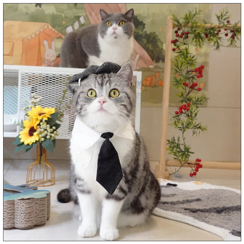 Pet Clothes Funny Handsome Gentleman's Beret Hat and Tie