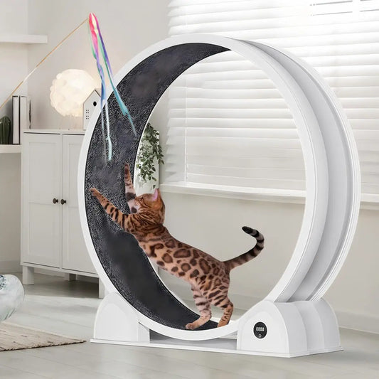 Cat Exercise Wheel, 45 Inch Quiet Cats Treadmill with Pedometer Running Wheel and Detachable Carpeted Runway, Interactive Toys