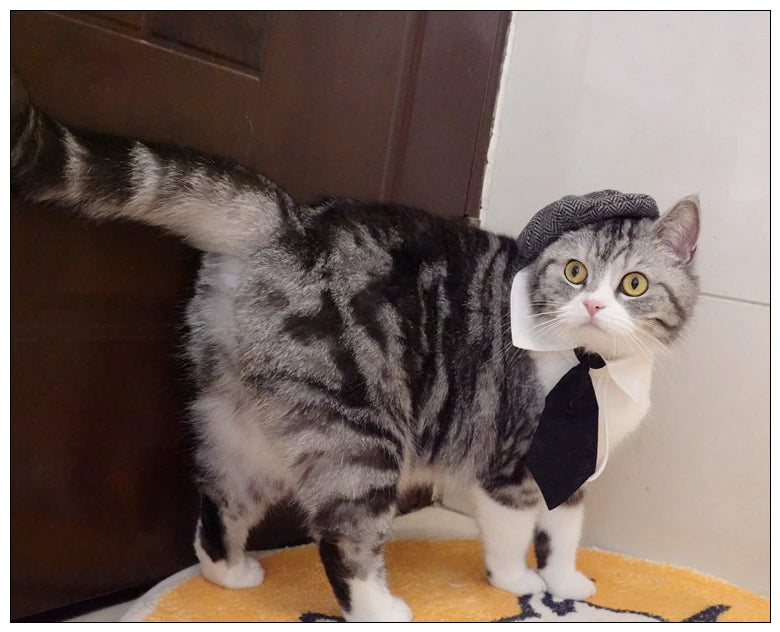 Pet Clothes Funny Handsome Gentleman's Beret Hat and Tie