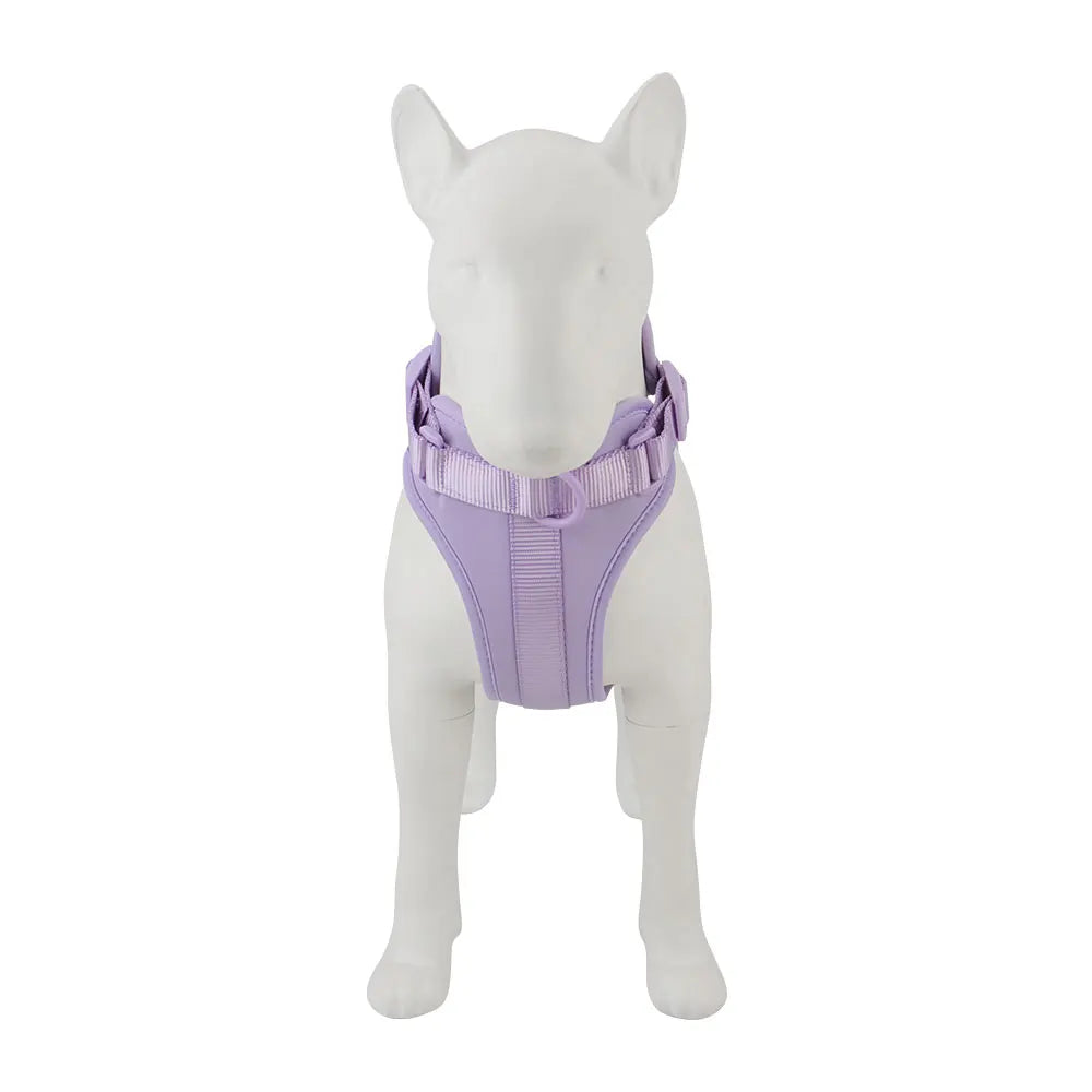 Breathable Lightweight Adjustable Harness with Chest Strap for Small Medium Dog