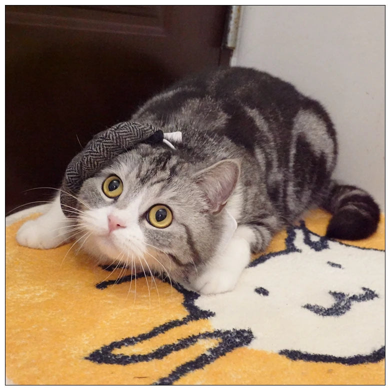 Pet Clothes Funny Handsome Gentleman's Beret Hat and Tie