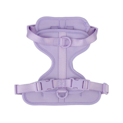 Breathable Lightweight Adjustable Harness with Chest Strap for Small Medium Dog