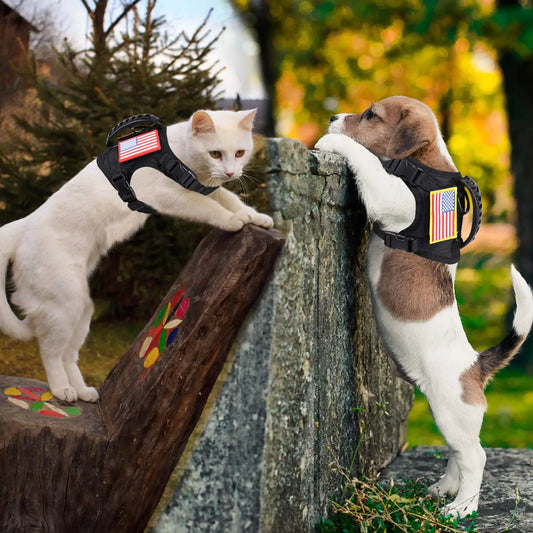 Small Pet Adjustable Military Tactical Harness Vest Leash Set for Walking and Training