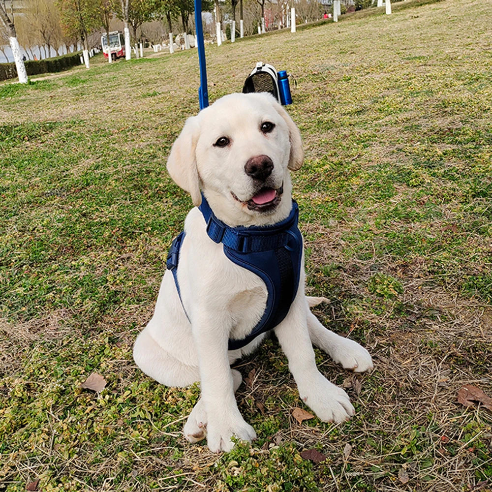 Breathable Lightweight Adjustable Harness with Chest Strap for Small Medium Dog